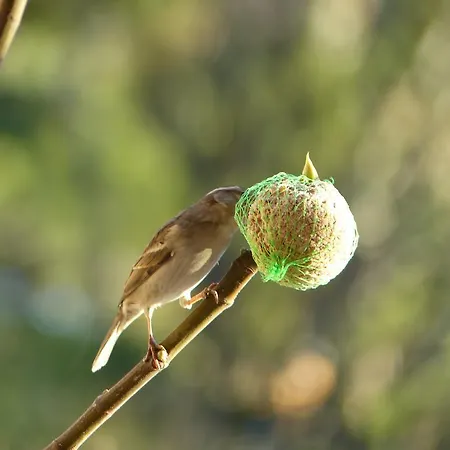 D'hotes La Meridienne *