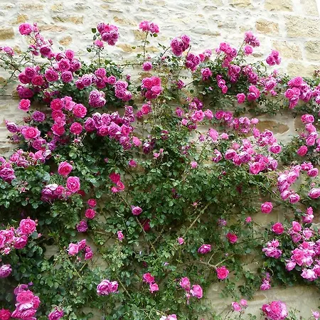 Bed & Breakfast D'hotes La Meridienne