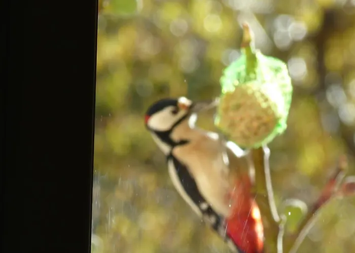 D'hôtes La Méridienne * Venterol (Alpes-de-Haute-Provence)