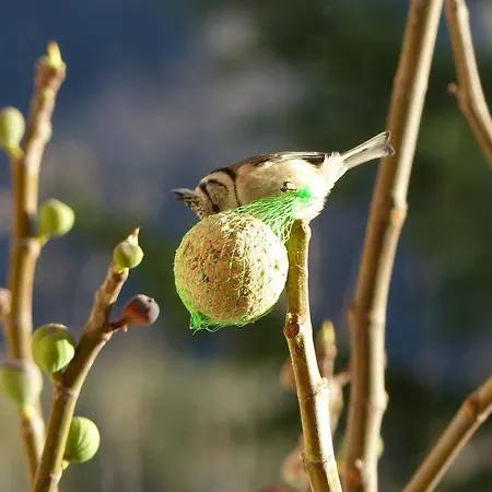 D'hotes La Meridienne Bed & Breakfast