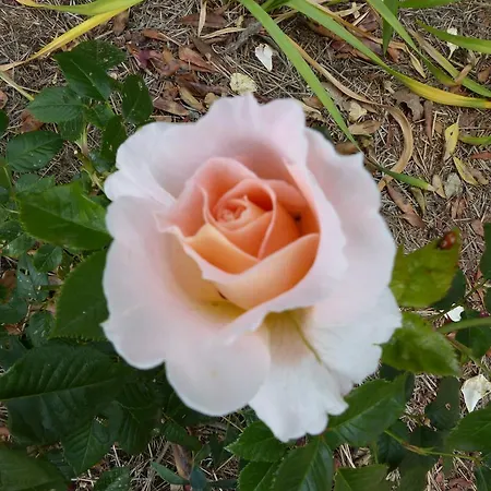 D'hotes La Meridienne Bed & Breakfast Venterol (Alpes-de-Haute-Provence)