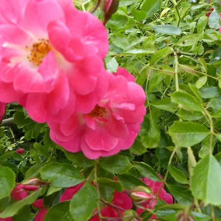 Bed & Breakfast D'hotes La Meridienne *