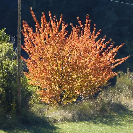 D'hotes La Meridienne Bed & Breakfast *