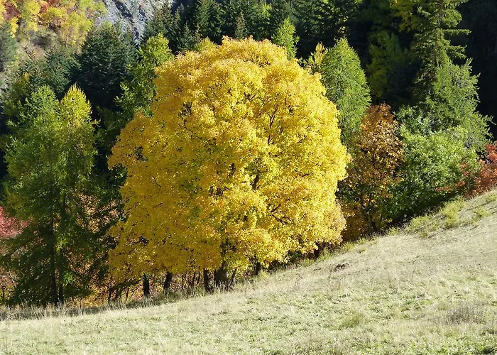 D'hôtes La Méridienne