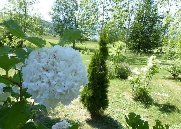 Couette-café D'hôtes La Méridienne