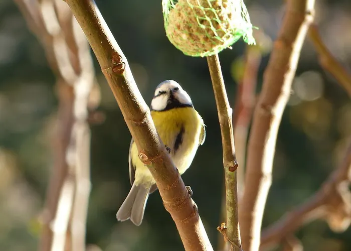 D'hôtes La Méridienne Couette-café Venterol (Alpes-de-Haute-Provence)