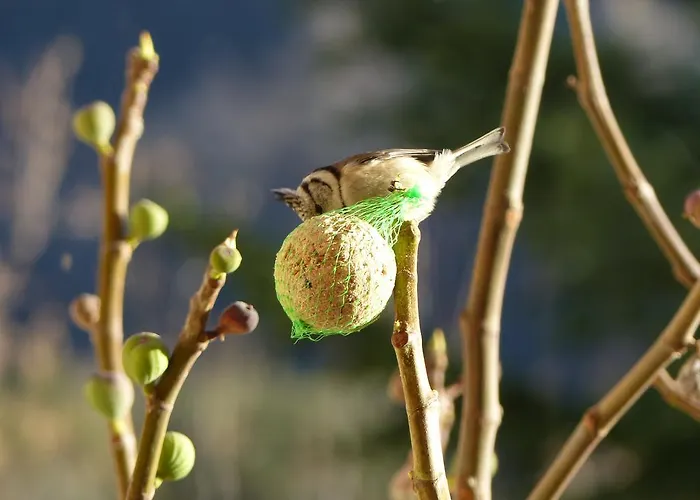 D'hôtes La Méridienne Couette-café