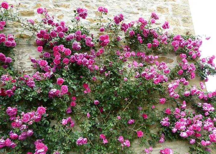 Couette-café D'hôtes La Méridienne