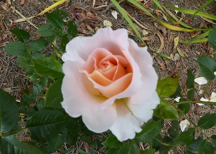 D'hôtes La Méridienne Couette-café Venterol (Alpes-de-Haute-Provence)