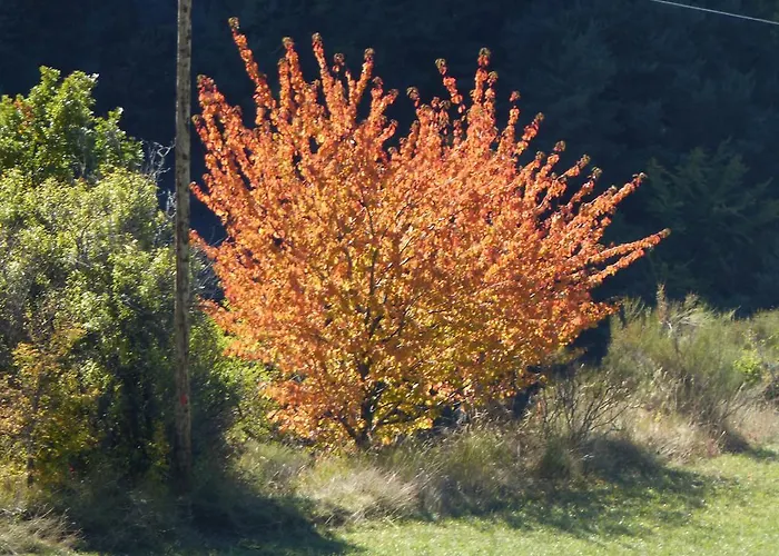 D'hôtes La Méridienne Couette-café *